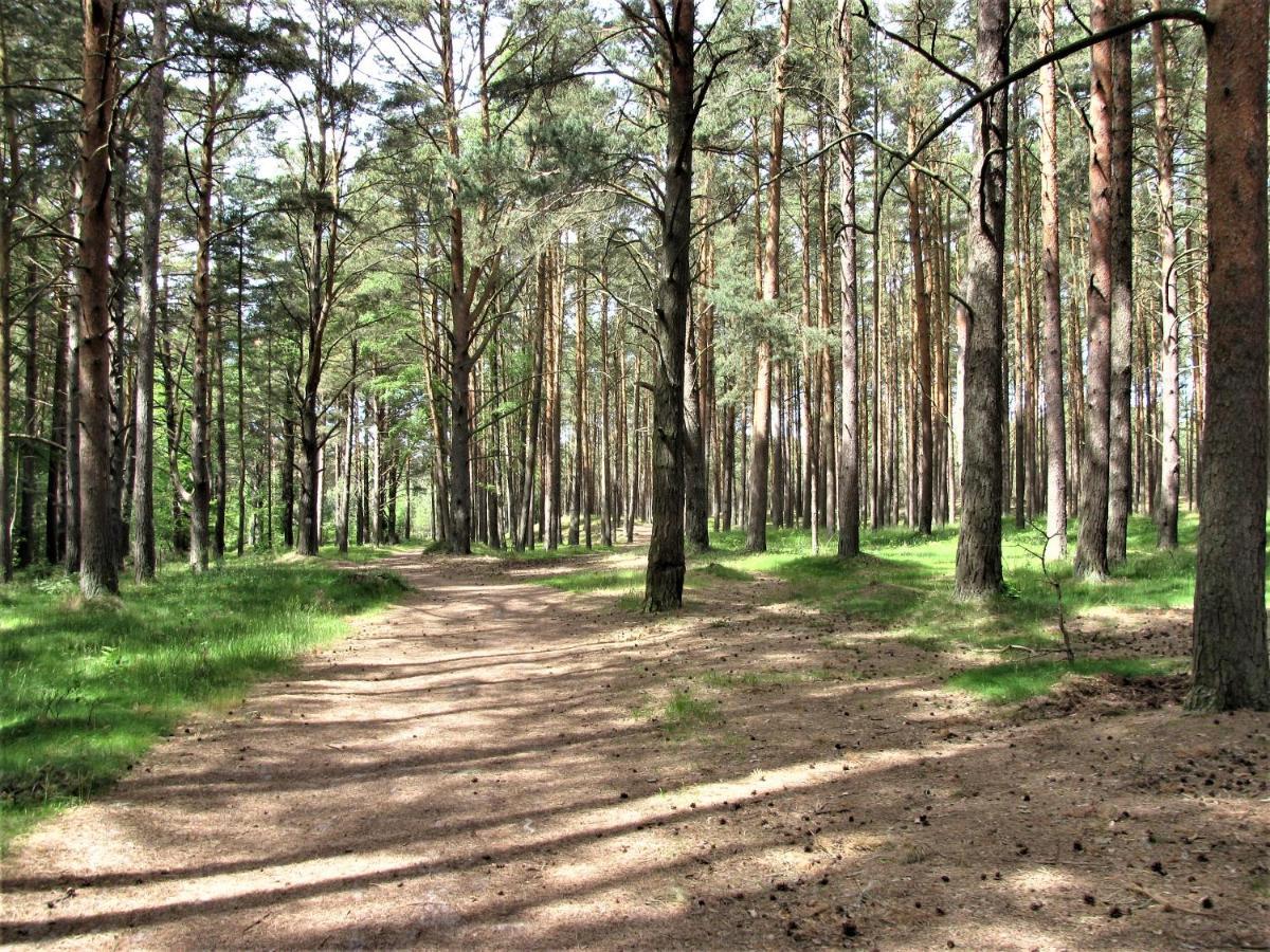 Białe Domki Lubiatowo Lubiatowo  Zewnętrze zdjęcie